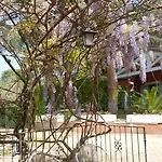 Frühstückspension La Bastide Des Pins 4*
