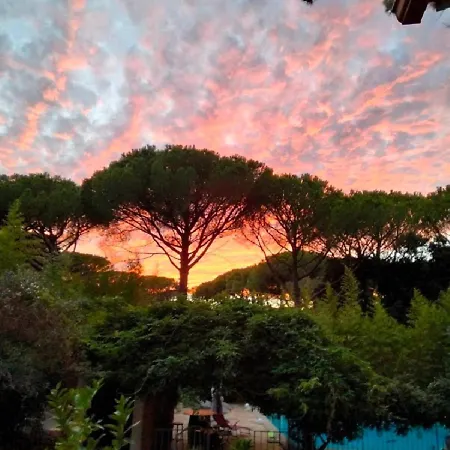 Bed & Breakfast La Bastide Des Pins Castillon-du-Gard