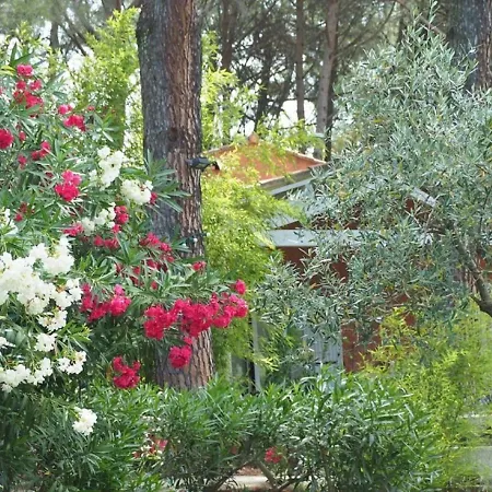 Bed & Breakfast La Bastide Des Pins *