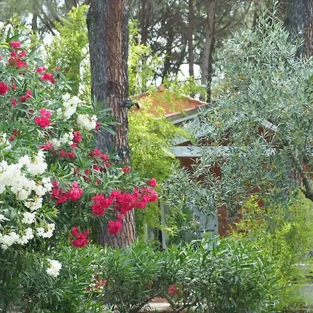 Frühstückspension La Bastide Des Pins 4*