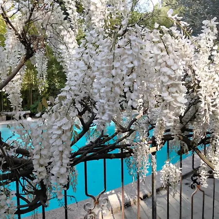 La Bastide Des Pins Bed and Breakfast 4*