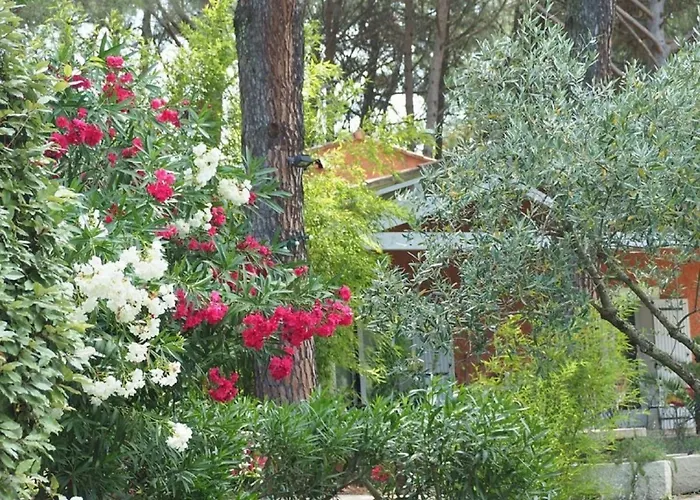 Nocleg ze śniadaniem La Bastide Des Pins 4*